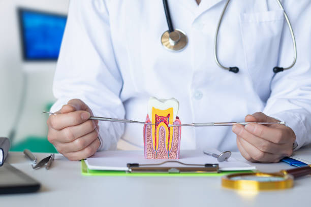 Best Urgent Care for Lost Fillings or Crowns in Paynesville, MN